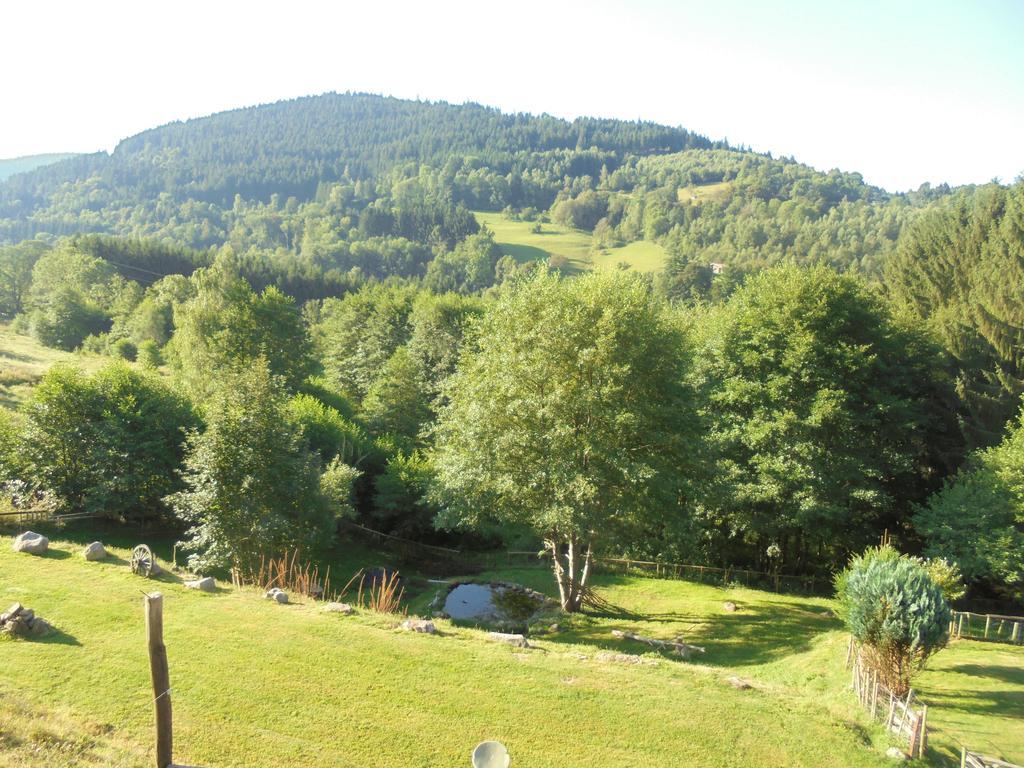 Auberge De La Grange spa&sauna Plainfaing Exterior foto